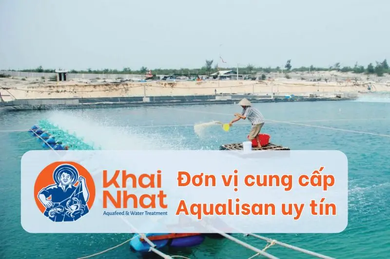 Khia nhật là đơn vị cung cấp aqualisan giá rẻ, chất lượng hàng đầu hiện nay