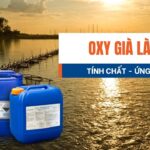 Oxy già là gì? tính chất, ứng dụng của oxy già