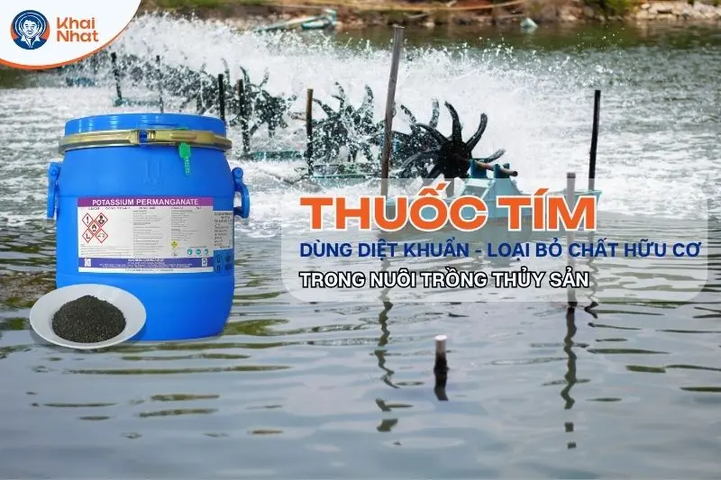 Thuốc tím dùng trong thủy sản có tác dụng khử trùng ao nuôi, loại bỏ tạp chất có trong ao