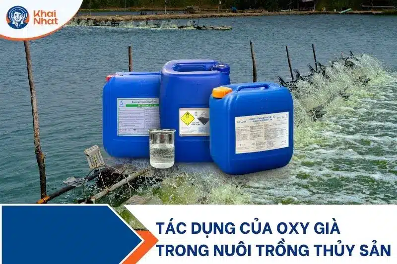 ứng dụng của oxy già trong nuôi trồng thủy sản