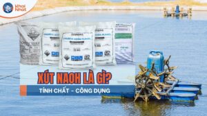 NaOH là gì? Những tính chất, ứng dụng của Xút ăn da