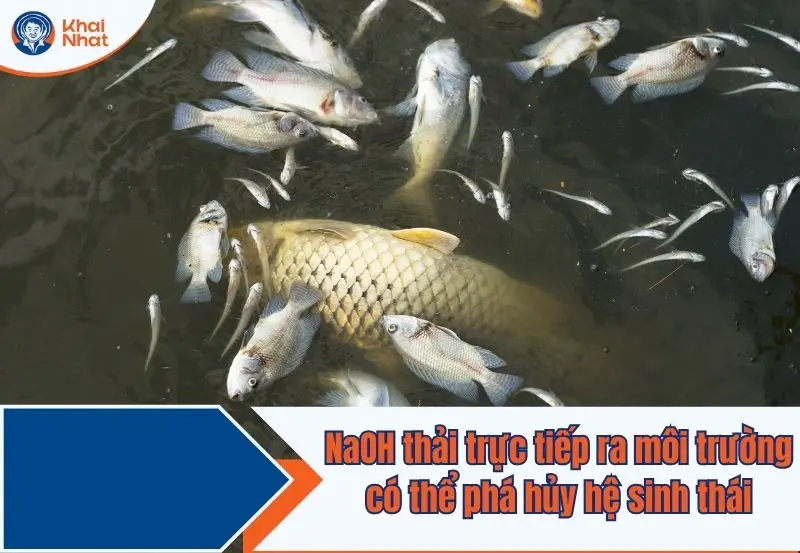 NaOH khi thải ra môi trường k có xử lý có thể gây ra thay đổi pH đột ngột làm chết cá