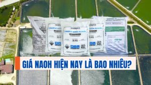 bảng giá NaOH chi tiết hiện nay