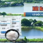 NaOH có độc hay không? Những lưu ý khi sử dụng NaOH an toàn