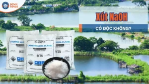 NaOH có độc hay không? Những lưu ý khi sử dụng NaOH an toàn