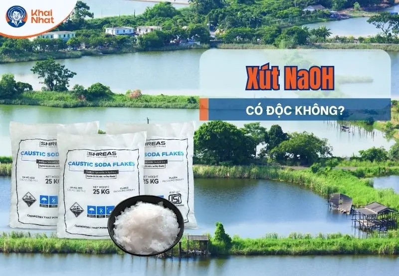 Xút naOh có độc hay không? Những lưu ý khi sử dụng