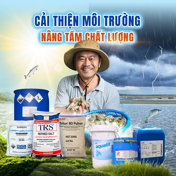 banner website vuông 20/10