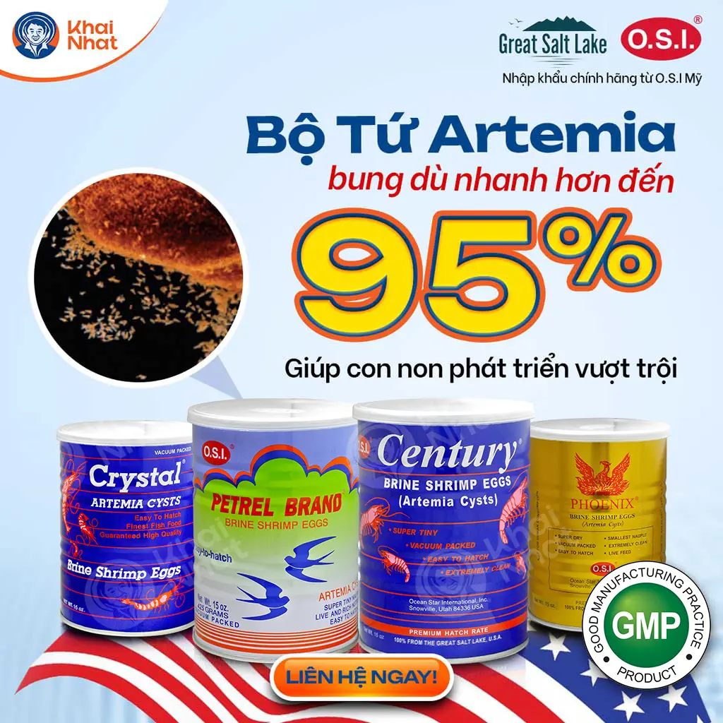 Bộ tứ artemia OSI