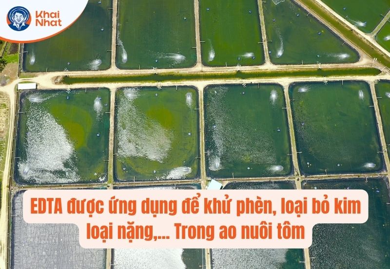 EDTA được ứng dụng để khử phèn, loại bỏ kim loại nặng trong ao nuôi tôm
