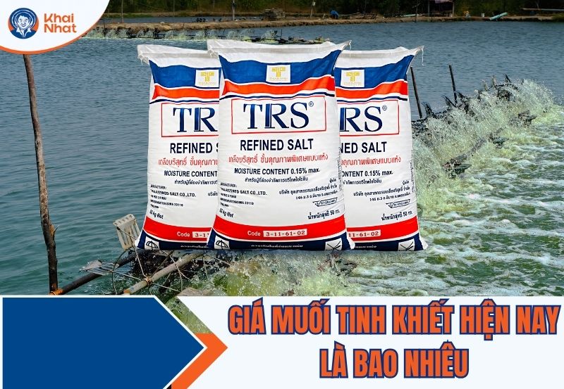 Giá muối tinh khiết hiện nay là bao nhiêu?
