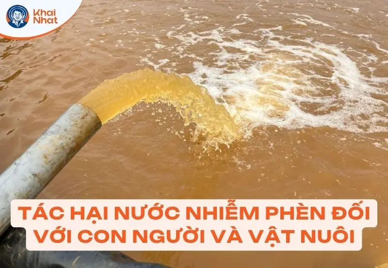 Tác hại của nước nhiễm phèn đối với con người và vậy nuôi
