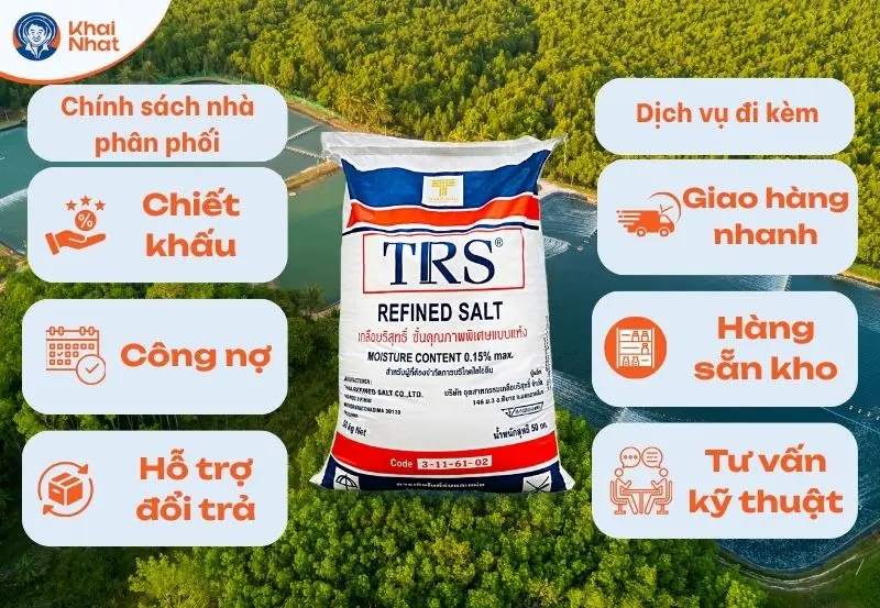 Chính sách phân phối và dịch vụ đi kèm là yếu tố ảnh hưởng không nhỏ đến giá muối công nghiệp hiện nay