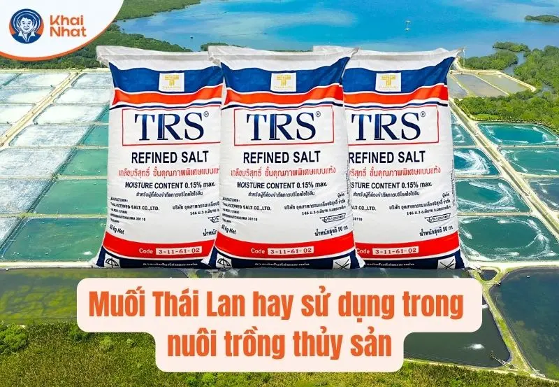 Muối Thái Lan hay được sử dụng trong nuôi trồng thủy sản