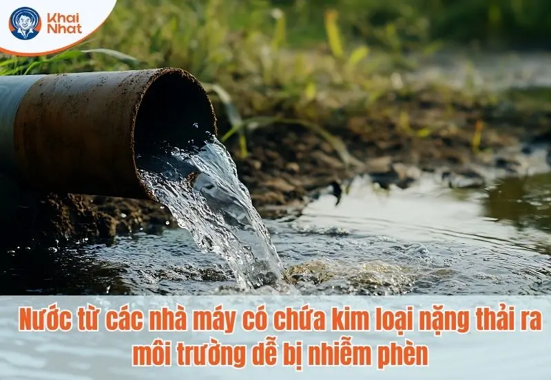 Nước từ các nhà máy có chứa kim loại nặng thải ra môi trường dễ nhiễm phèn