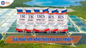 Giá muối tinh khiết hiện nay là bao nhiêu? Mua ở đâu uy tín?