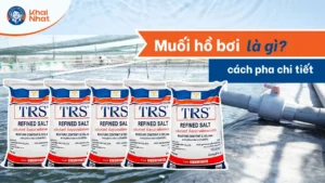 thumbnail muối hồ bơi