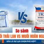 So sánh muối hoàn nguyên và muối Thái Lan, đâu là sự lựa chọn phù hợp