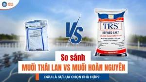 So sánh muối hoàn nguyên và muối Thái Lan, đâu là sự lựa chọn phù hợp