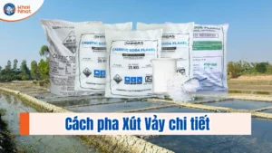 Hướng dẫn cách pjha xút vảy chi tiết