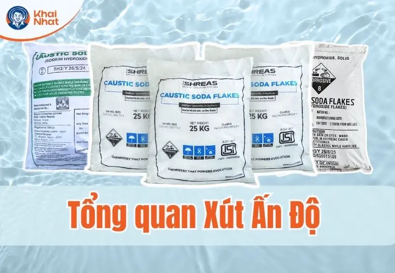 Tổng quan về xút vảy ấn độ