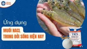 ứng dụng của Nacl trong đời sống hiện nay