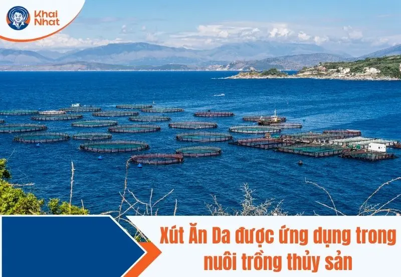 Xút Ăn Da được ứng trong nuôi trồng thủy sản