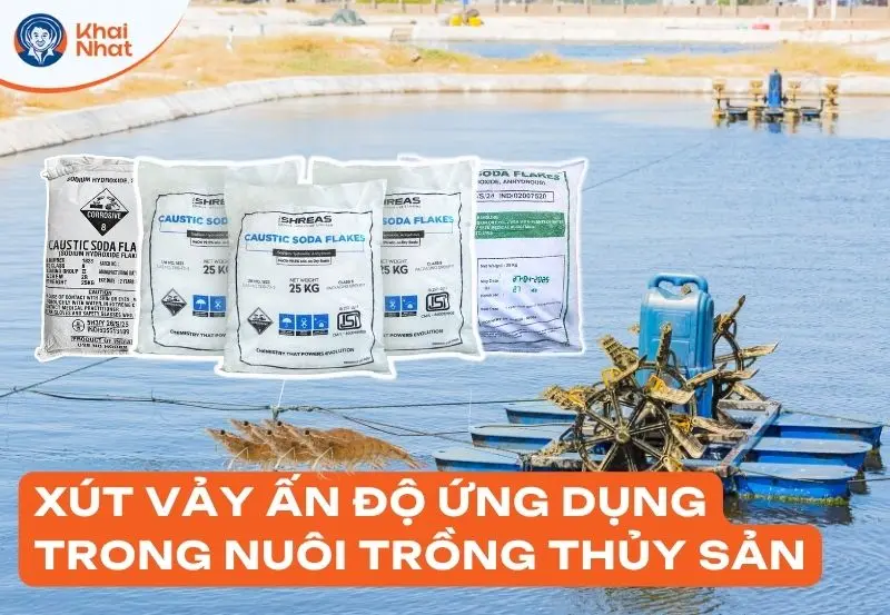 Xút vảy ấn độ ứng dụng trong nuôi trồng thủy sản