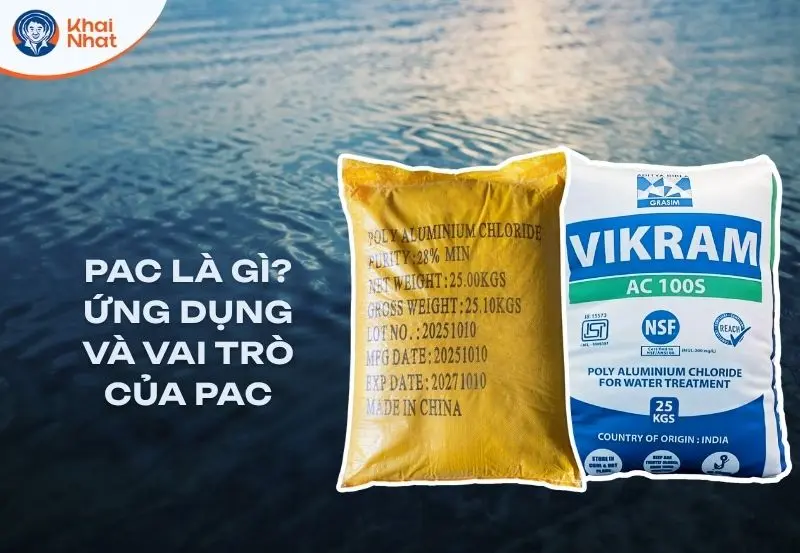 PAC là gì? Ứng dụng của PAC hiện nay mà bà con nên biết
