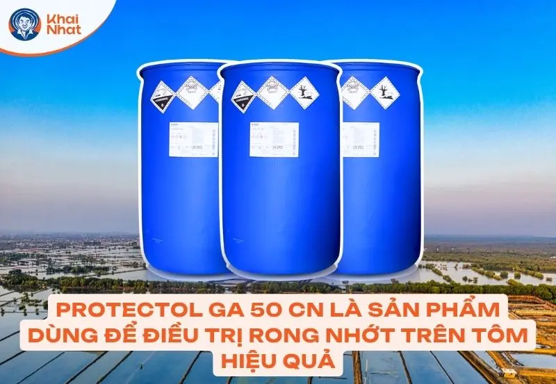 Bà con có thể sử dụng Protectol 50CN để khắc phục tình trạng tôm bị đóng rong nhớt