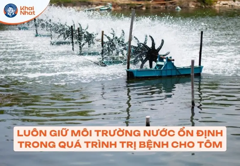 Việc giữ nguồn nước ổn định giúp điều trị bệnh tôm bị đóng rong rêu nhanh hơn