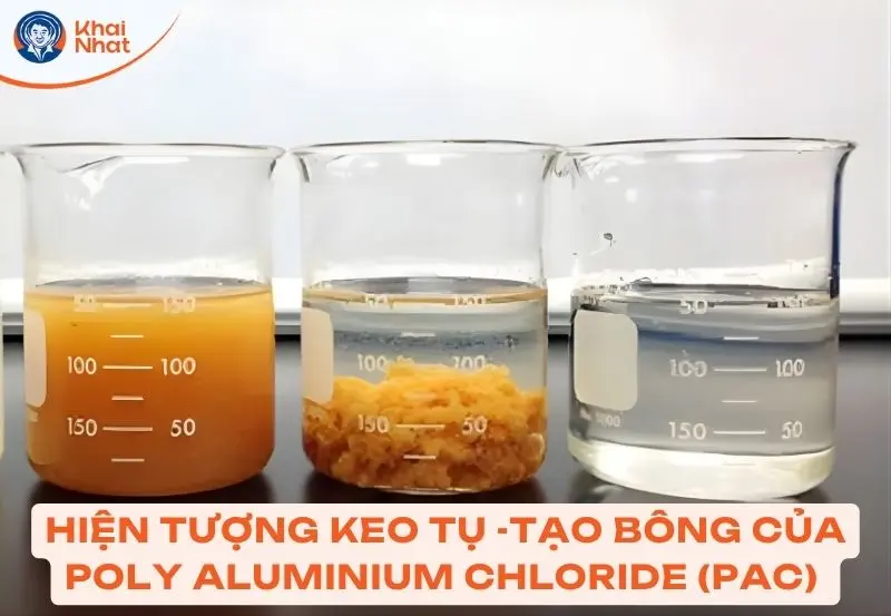 PAC hoạt động thế nào trong nước