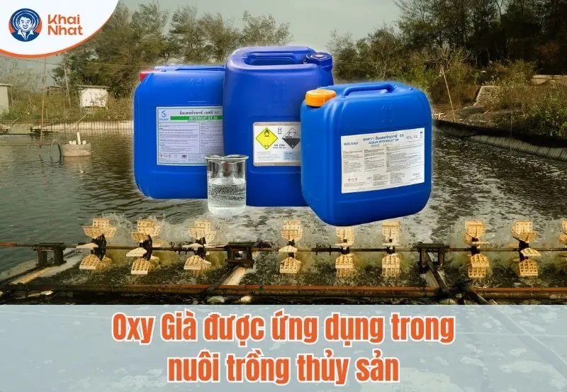 Oxy già ứng dụng trong nuôi trồng thủy sản