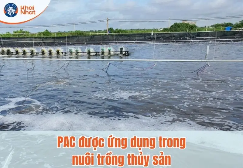 PAC được ứng dụng trong nuôi trồng thủy sản