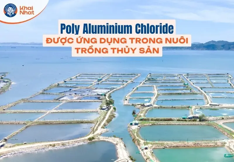 PAC được ứng dụng nhiều trong nuôi trồng thủy sản