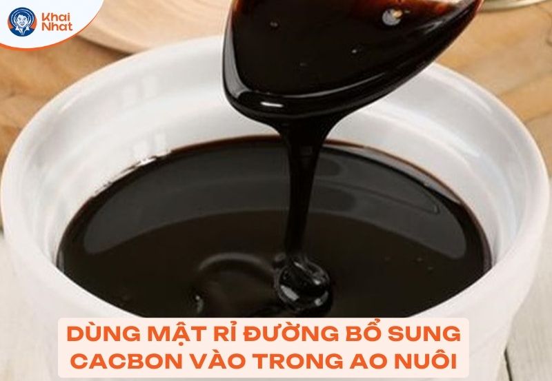Mật rỉ đường là giải pháp cung cấp cacbon trong ao nuôi