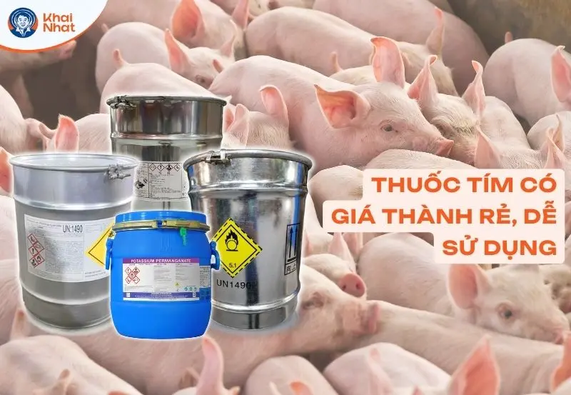 thuốc tím tại sao được sử dụng nhiều trong chăn nuôi