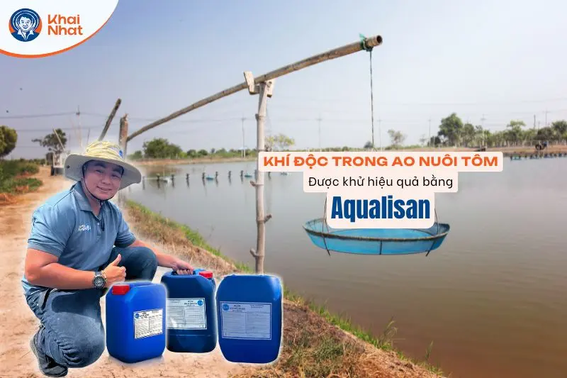 Aqualisan có khả năng khử khí độc