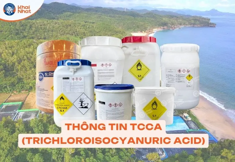 banner danh mục tcca