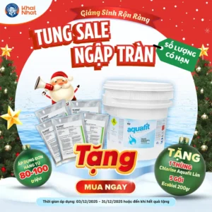 Chương trình khuyến mãi Khai Nhật tháng 12 -3