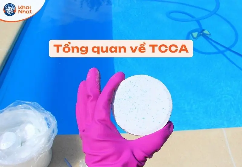 Tổng quan TCCA