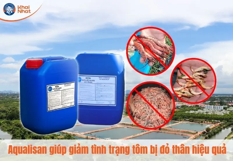 Aqualisan khắc phục tôm bị đỏ thân