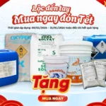 banner ctkm tết 2026