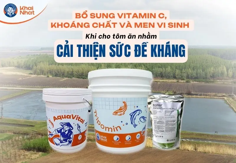 bổ sung thực phẩm bổ sung để cải thiện sức để kháng của tôm