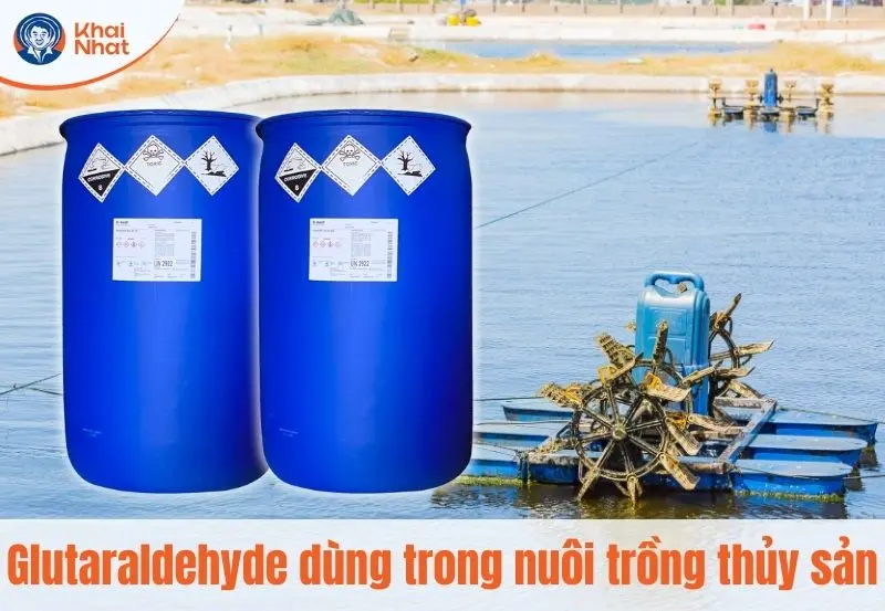 hóa chất Glutaraldehyde được ứng dụng trong nuôi trồng thủy sản
