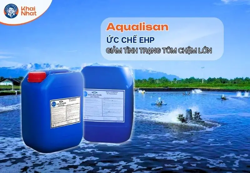 Aqualisan giúp khắc phục tình trạng ao nuôi hiệu quả