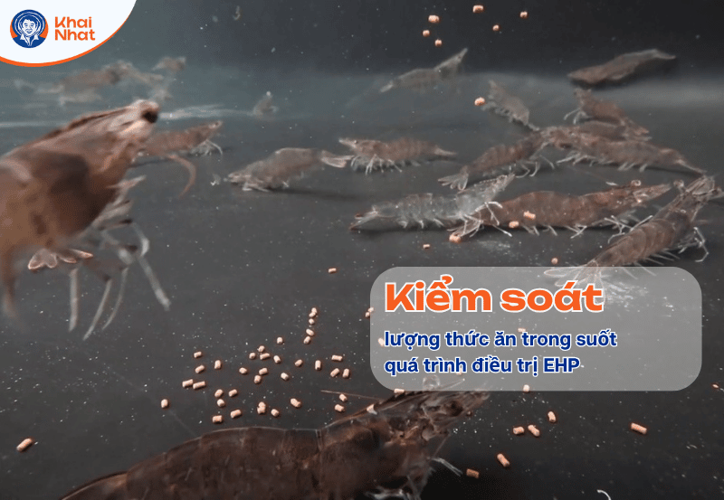 kiem-soat-luong-thuc-an-khi-dieu-tri-ehp