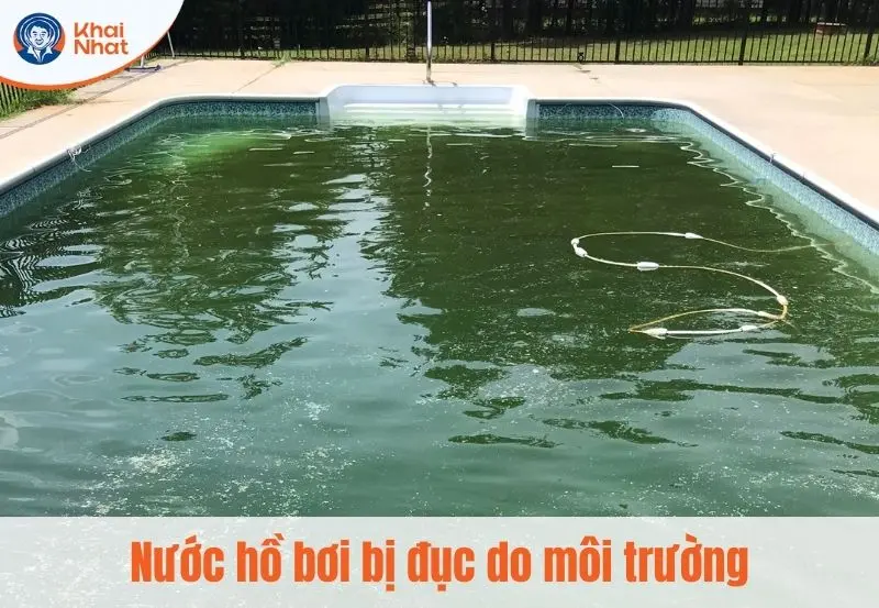Nước hồ bơi bị đục do ảnh hưởng từ môi trường