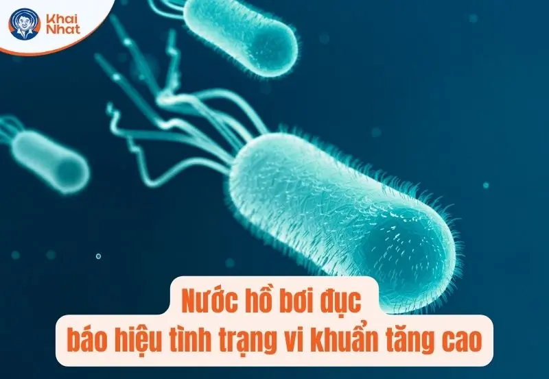 Nước hồ bơi đục báo hiệu vi khuẩn nhiều
