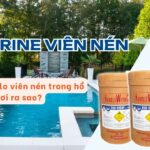 clorin viên nén thumbnail