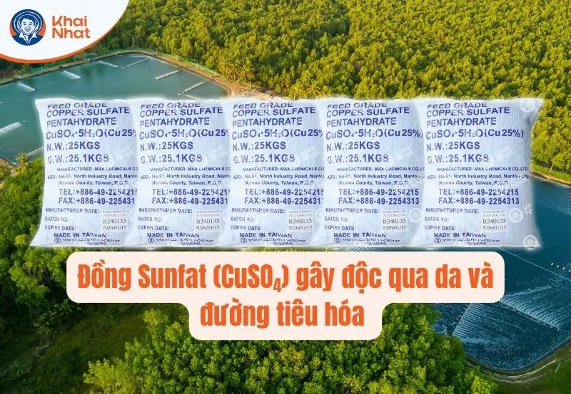 Những con đường gây ngộ độc của Đồng Sunfat